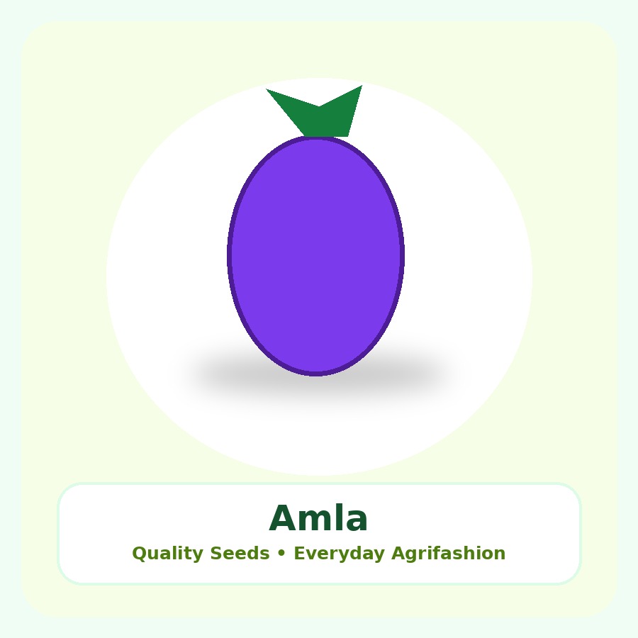 Amla Seeds 25 Seeds
