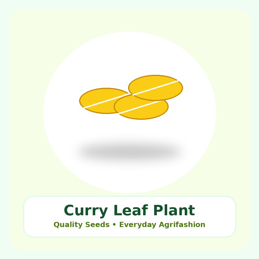 Curry Leaf Plant Premium Plant