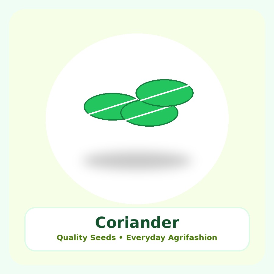 Coriander Seeds 100g