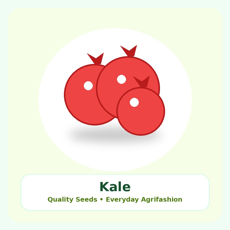 Kale Seeds 500g